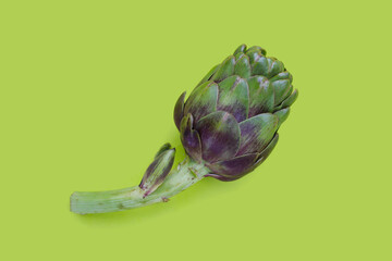 Purple artichoke on green background.