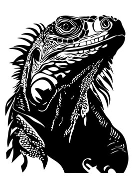 recommend clip art: Intricate Iguana Vector Illustration Lizard Art for Tattoo and Design