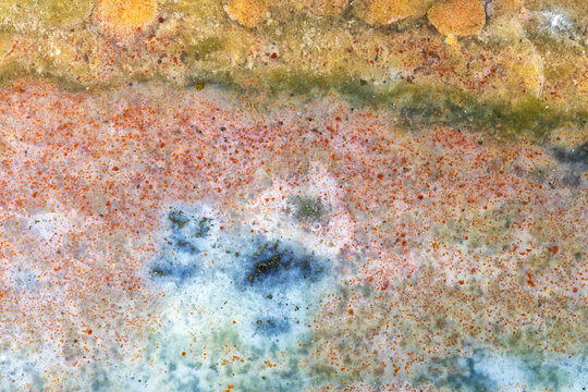 Multicolor Java Jasper Macro  