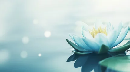 Tableau sur plexiglas Salle de bain Serene Lotus: A delicate, pristine lotus flower floats gracefully upon calm water, its soft petals capturing the purity and tranquility of nature.  © mashimara