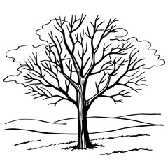 Obraz premium Bare Winter Tree Silhouette Vector Art for Nature Illustrations and Projects