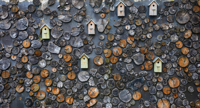 Wood Slice Wall with Birdhouses