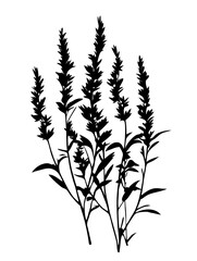 Naklejka premium Black Silhouette Wildflower Plant Botanical Vector Art for Design