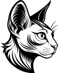 vector illustration of a cat