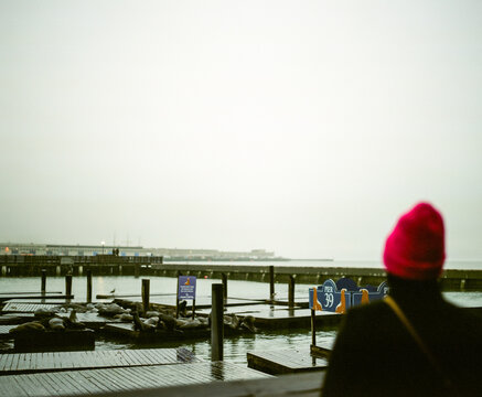 Woman Looking at Pier 39 Sea Lions