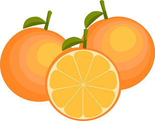 illustration of orange fruit