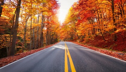 Obraz premium yellow line road through autumn forest with vibrant orange and red foliage creating scenic nature path in fall season