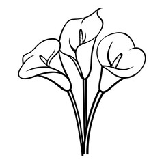 Elegant Calla Lily Outline Vector Illustration for Tattoo and Design
