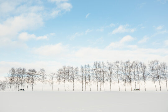 Snow-covered road with bare trees and cars