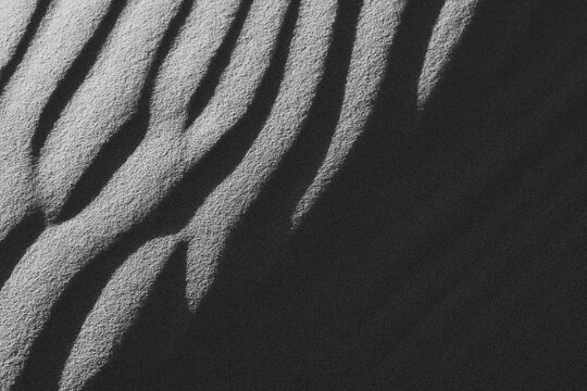 Monochrome Abstract Sand Texture
