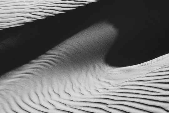 Monochrome Abstract Sand Texture