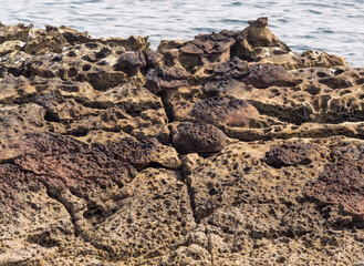 Amazing rock formations on Domach Firth, Portmahomack, highlands, Scotland, UK