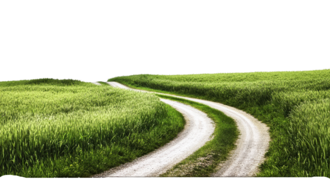 "A quiet rural road winding through a meadow filled with thick grass, isolated on transparent background, evoking peace and solitude.