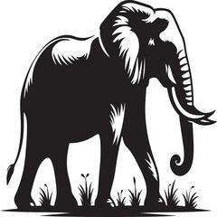 Elephant sihouette collection