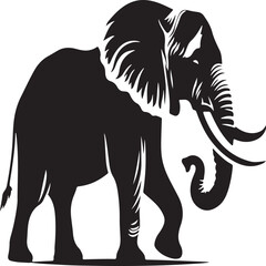 Elephant sihouette collection