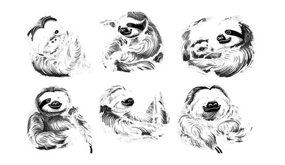 Sloth vector set, hand-drawn illustration, black and white engrave, wildlife art, nature artwork, sloth drawing, animal engraving, rainforest animal, jungle wildlife, detailed sloth sketch