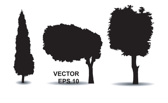 Vector trees in silhouettes. Vector black trees big set on white background.