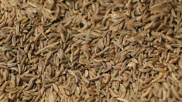 Organic Cumin Seeds for Cooking and Seasoning Pour Slow Motion