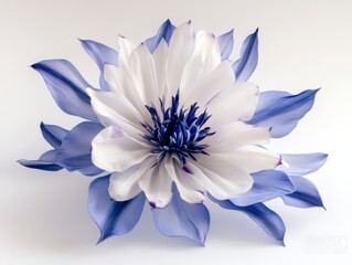 Fototapeta premium Intricate Blue and White Artificial Flower Macro Photography