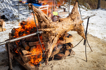 Roasting a whole young lamb over an open fire outside.