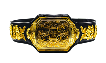 championship boxing belt featuring intricate gold detailing and black strap, symbolizing victory and achievement in sports