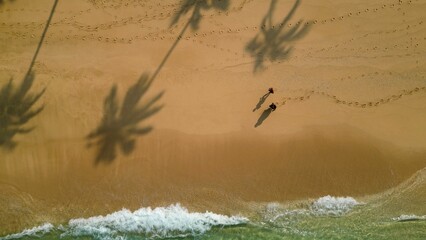 Aerial View of Beach with Palm Tree Shadows