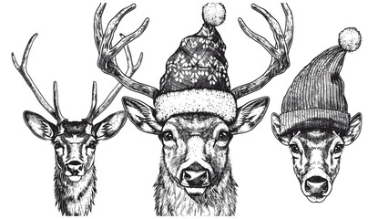 Fototapeta premium Christmas illustration, deer set, reindeer silhouette, vintage ink sketch, Santa costume, northern stag, winter art, New Year hat, black and white hand drawn, holiday artwork.