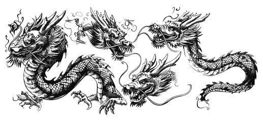 Vintage Japanese Dragon engraving, snake ink sketch, Chinese character tattoo silhouette, black and white hand drawn image, vector art, mythical tattoo design, dragon art