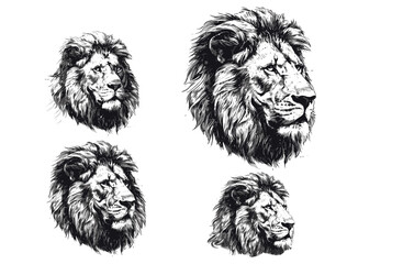 Vintage lion king engraving, vector illustration, Africa wild cat, hand drawn black and white animal, background silhouette, majestic predator, wildlife sketch, artistic ink drawing