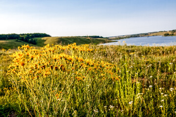 Green meadow and hills under blue sky. Summer background