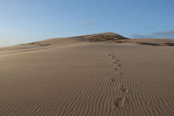 Dune du pilat , Bassin d'arcachon , Gironde