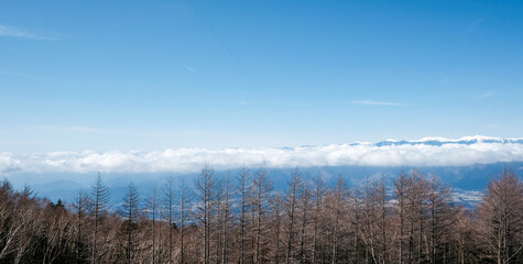 Mount Fuji, the iconic symbol of Japan, during the season of autumn foliage, a period of exceptional beauty.kawaguchiko,japan.