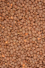 A close-up, top-down view of a pile of dry brown lentils filling the frame