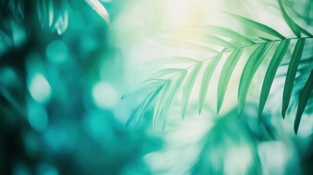 Exploring a tropical oasis with vibrant palm leaves in green and teal tones at sunrise for fresh adventures