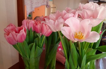 tulips in a vase