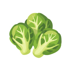My Simple flat 2D icon green Brussels sprouts isolated on transparent background, vector, flat design, animation design, simple flat 2D icon, clipart