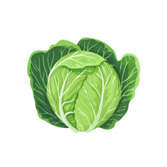 Simple flat 2D icon green cabbage isolated on transparent background, vector, flat design, animation design, simple flat 2D icon, clipart