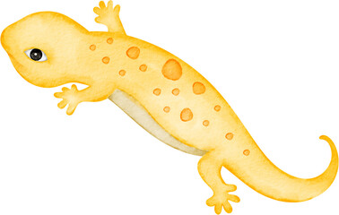 watercolor lizard