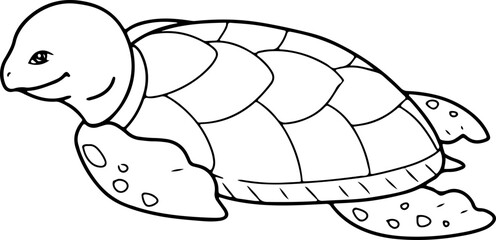 turtle doodle