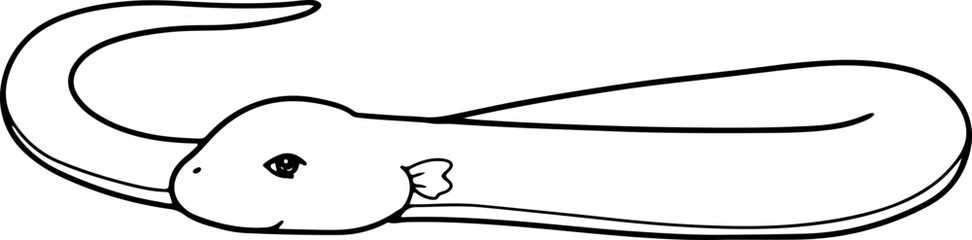 Fototapeta premium snake doodle reptiles