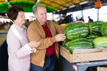 Fototapeta premium Man and woman customers buying watermelon in open-air market