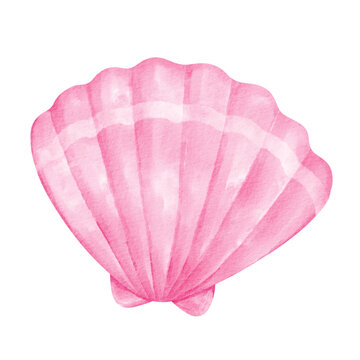 shell watercolor