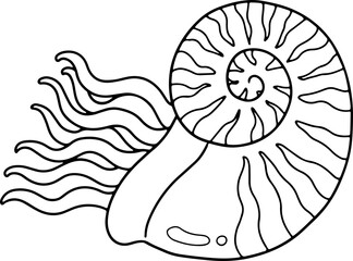 nautilus doodle