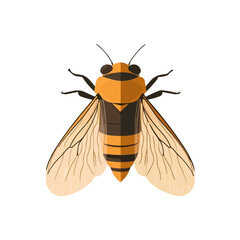 A Simple flat 2D icon cicada isolated on transparent background, vector, flat design, animation design, simple flat 2D icon, clipart