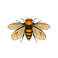 very Simple flat 2D icon cicada isolated on transparent background, vector, flat design, animation design, simple flat 2D icon, clipart