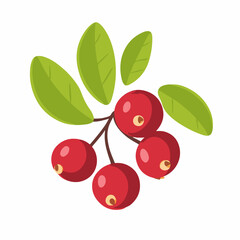 My Simple flat 2D icon red cranberry branch isolated on transparent background, vector, flat design, animation design, simple flat 2D icon, clipart