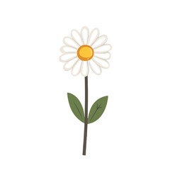 My Simple flat 2D icon white daisy branch with green leaves isolated on transparent background, vector, flat design, animation design, simple flat 2D icon, clipart
