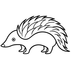 Echidna Outline in Minimal Vector Design