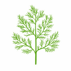 A Simple flat 2D illustration icon green dill branch isolated on transparent background, vector, flat design, animation design, simple flat 2D icon, clipart