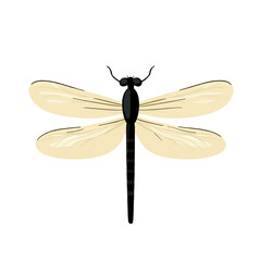 A Simple flat 2D illustration dragonfly isolated on transparent background, vector, flat design, animation design, simple flat 2D icon, clipart